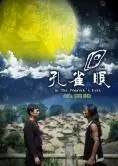 《孔雀眼》：青春的色彩与梦想的碰撞，一部触动心弦的笑泪交织的成长史！